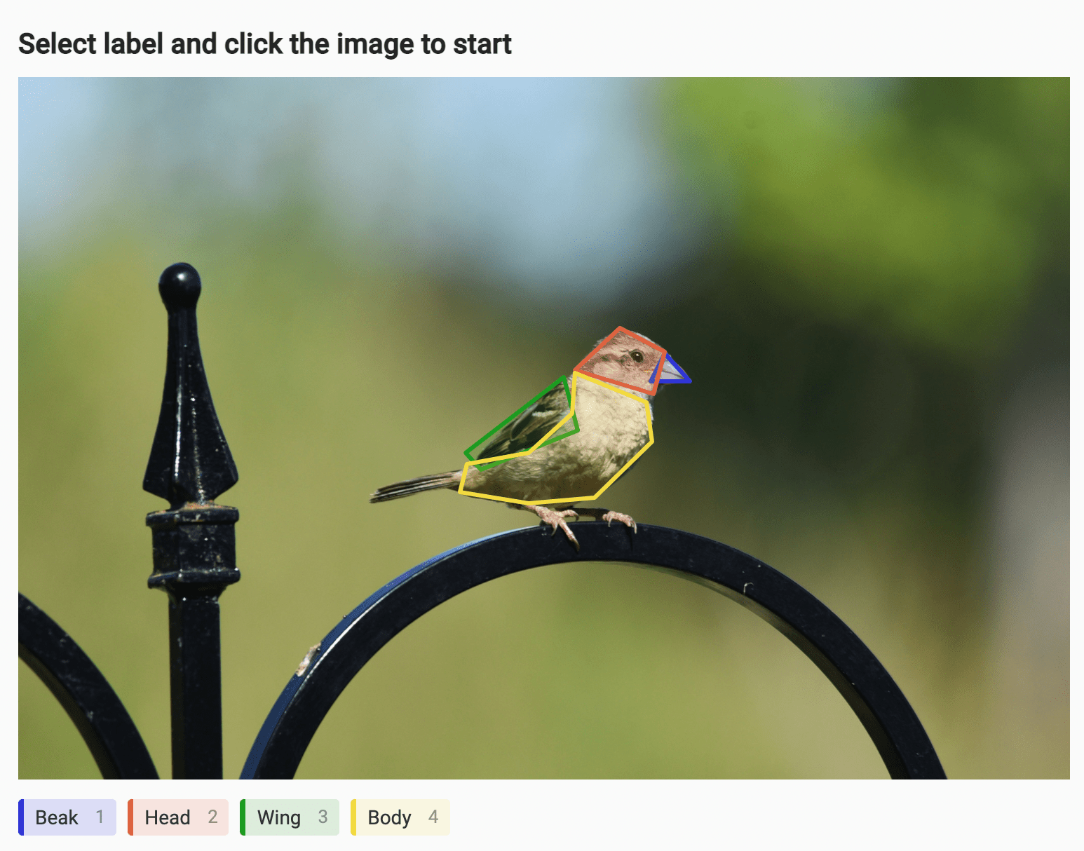 Screenshot of a finch perched on a fence with the beak, head, wing, and body labeled with different colored polygons.