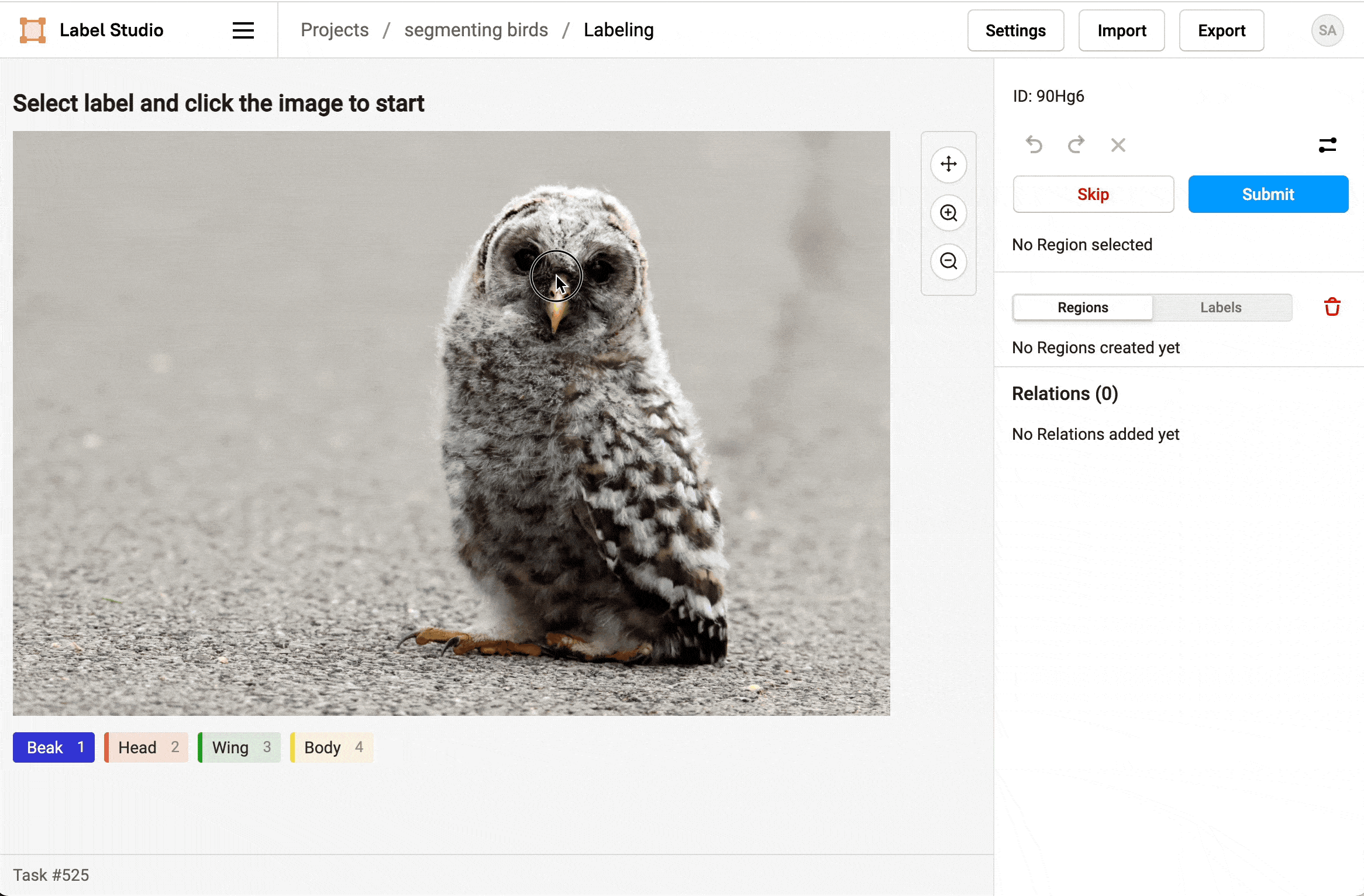 Gif of an adorable owl sitting on pavement being labeled in the Label Studio UI with polygons around its beak, head, wing, and body, hiding the polygons after each is created to avoid accidentally interacting with an already-created polygon.