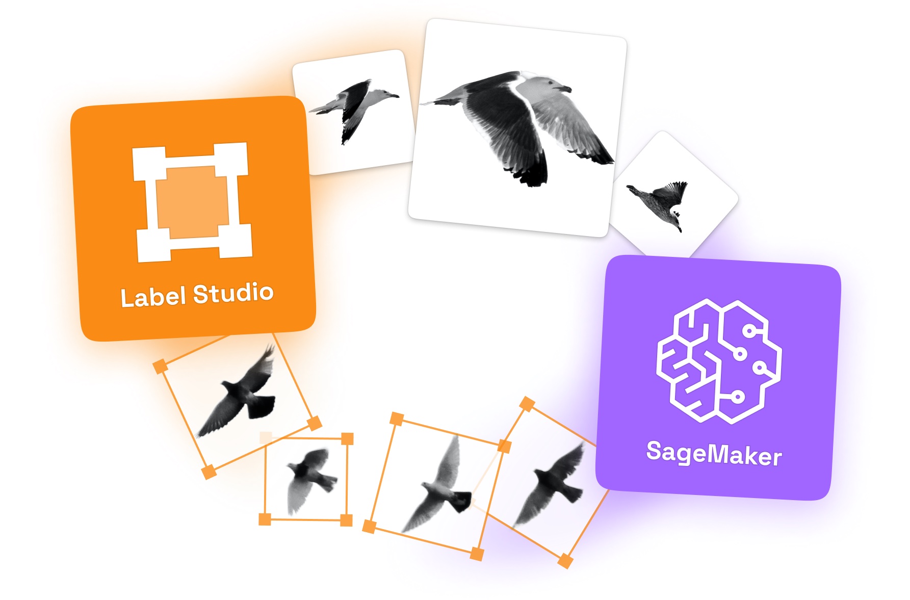 Decorative image showing Label Studio logo with birds flying to Amazon SageMaker and then returning with model predictions to Label Studio